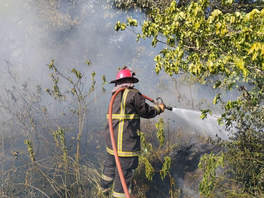 Incendio en la Costanera de la localidad misionera de Puerto Rico, afectó aproximadamente media hectárea de pastizales y ramas secas