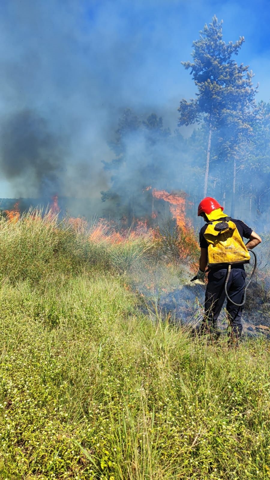 Misiones: Tras seis horas de intenso trabajo controlaron un incendio de malezas y pinar, cerca de la Aldea Poty en el Municipio de Santa Ana