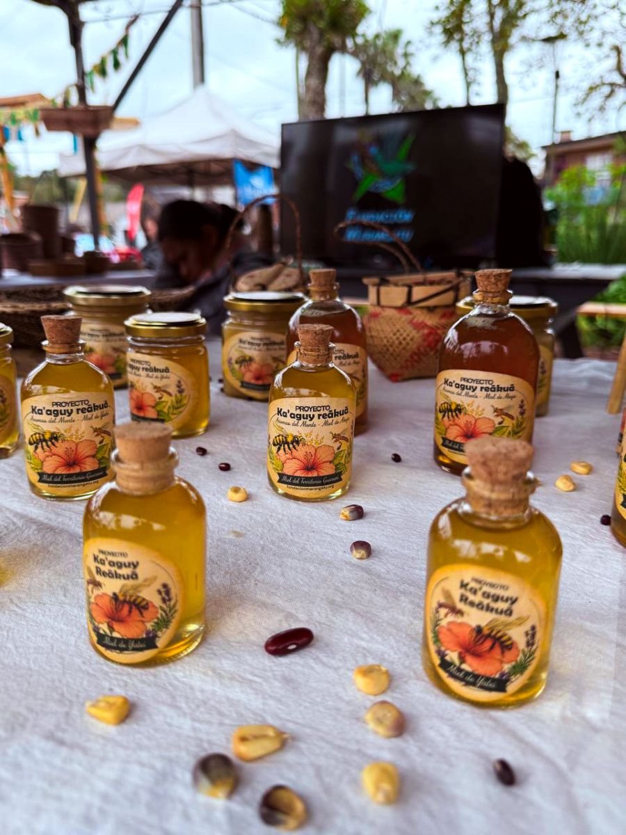 Capioví: La miel de yateí une producción, monte y cultura guaraní en la provincia de Misiones