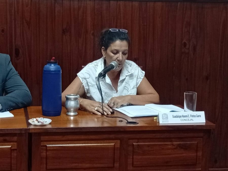 La ciudad de Apóstoles tendrá su “Concejo de la Mujer”, Proyecto presentado por la Edil, Guadalupe Pintos Garro