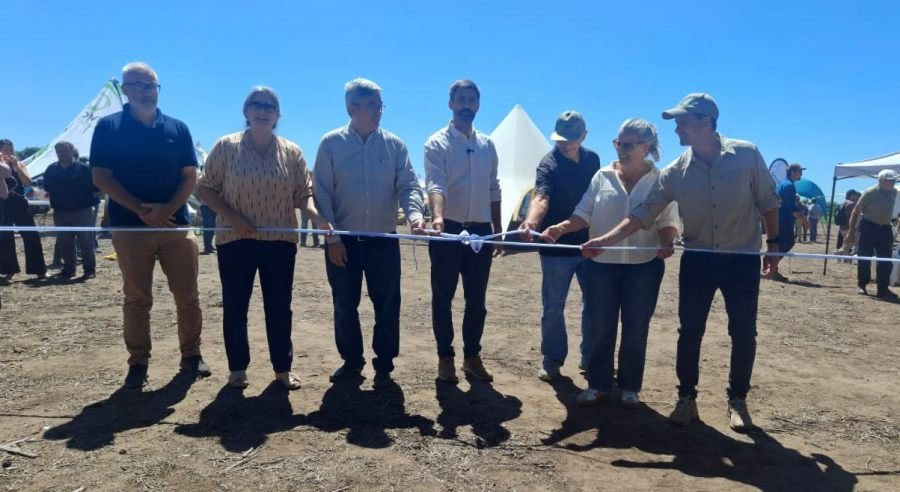 Estrés abiótico, el problema que pocos ven, pero todos sufren