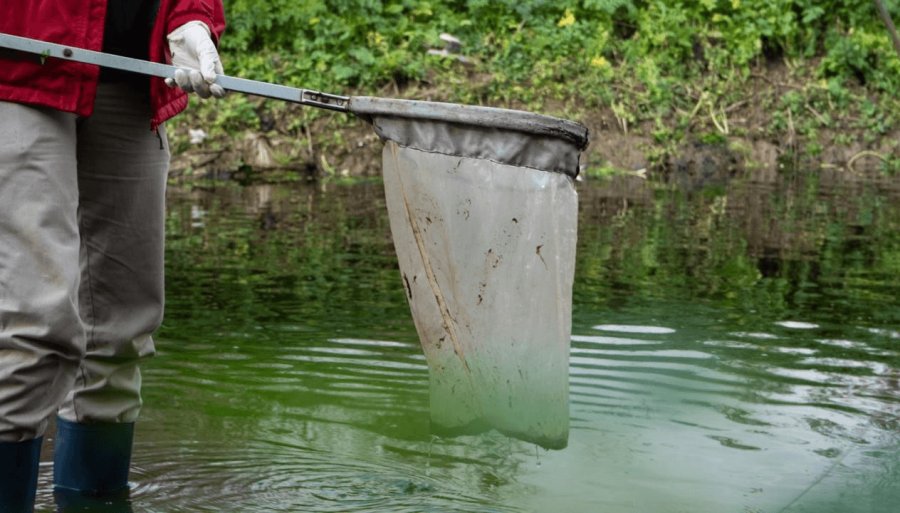 Informe oficial: Descartan que la muerte de peces en el Río Carcarañá haya sido por fitosanitarios