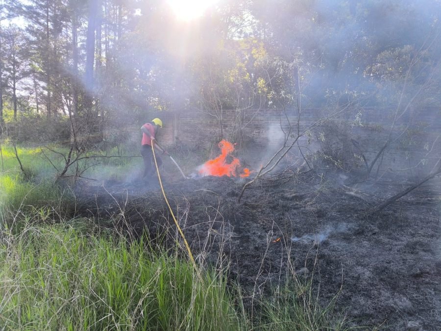 Incendio de malezas sobre Ruta Nacional N° 12 a la altura del Municipio misionero de Santa Ana: ras el despliegue de una línea devanadera, el fuego fue sofocado evitando su propagación
