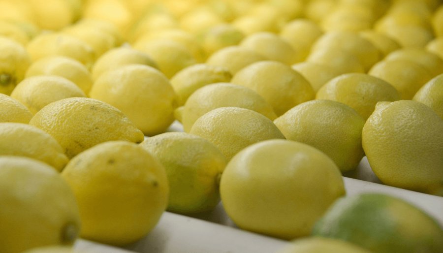 Exportaciones “esenciales”: Los cítricos crecen, con productos que valen hasta más de 20.000 dólares la tonelada