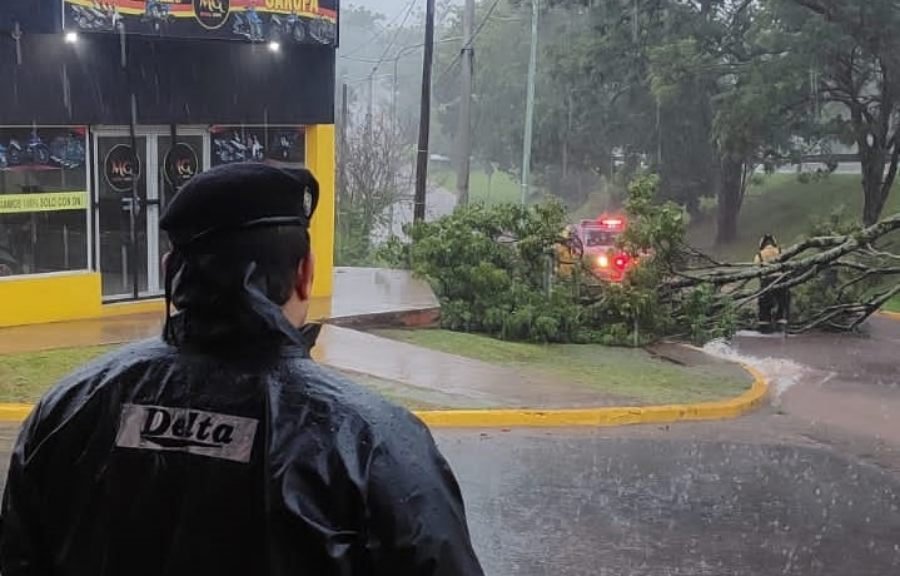 Misiones: Intensas lluvias generaron múltiples intervenciones policiales por anegamientos, caída de árboles y desbordes de arroyos en la provincia