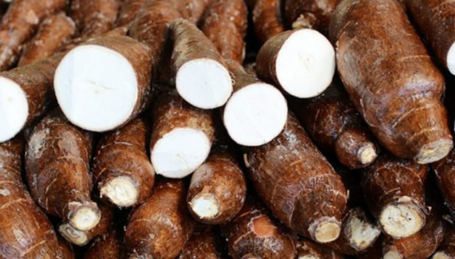 La mandioca, la sorpresa 2025 de las economías regionales: Quintuplicó su promedio de exportaciones