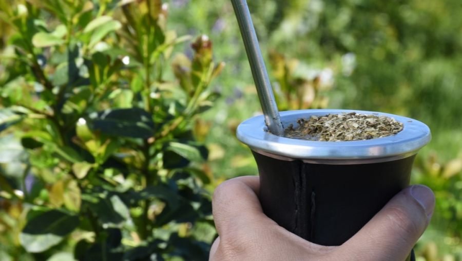 Las ventas de yerba mate superaron los 46 millones de kilos el primer bimestre