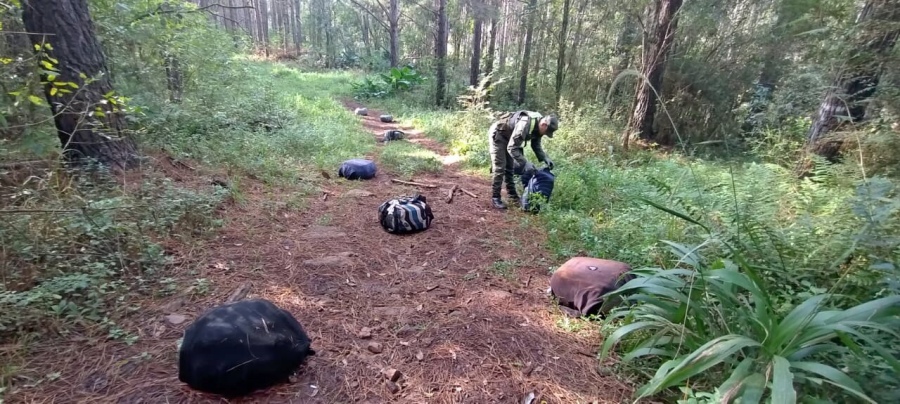 Gendarmes frustraron millonario contrabando de marihuana: Un grupo de personas abandonó el estupefaciente al ser sorprendido por una patrulla de la Gendarmería Nacional