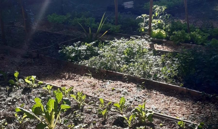 Posadas: Presentaron el Proyecto “De la Huerta al Plato con Sabor a Escuela”