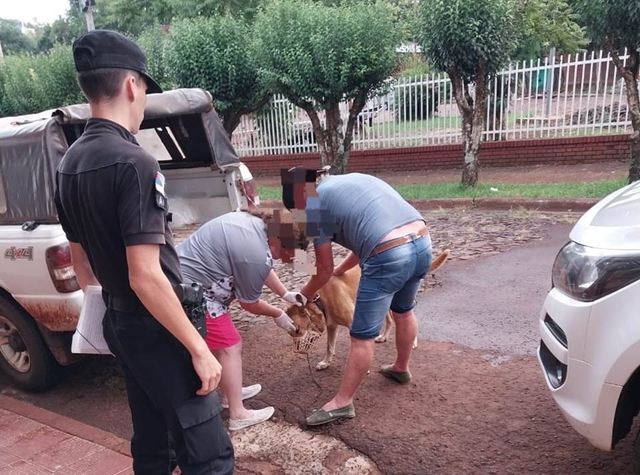 Maltrato animal: La Policía de Misiones detuvo a un individuo de 61 años por amenazar a un vecino y dispararle a su perro, además se secuestró tres armas de fuego y varias municiones