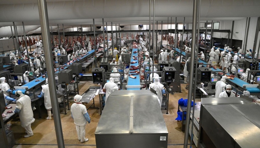 China abre su mercado a más frigoríficos argentinos, para exportarle harinas de carne, hueso y sangre