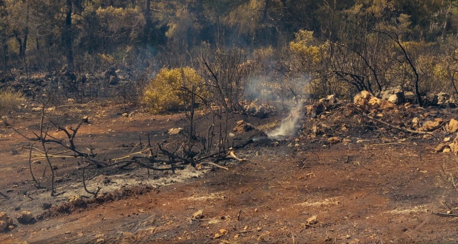 El cambio climático hizo que la práctica del rozado con uso del fuego genere cada vez más peligro y menos beneficios para el productor