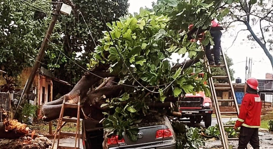 Amplio despliegue policial por daños ocasionados por el temporal en varias ciudades y localidades de la provincia de Misiones