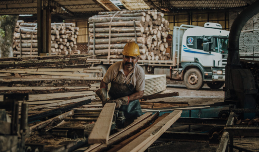 El motor del NEA: La provincia de Misiones concentra el mayor volumen de créditos al sector productivo