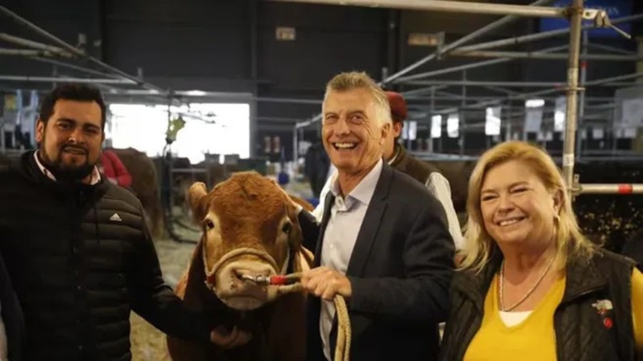 Para Mauricio Macri, el Gobierno de Alberto Fernández es el "peor desde la vuelta de la democracia"