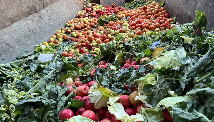 En Escobar, los desechos del mercado de abasto se transforman en fertilizante