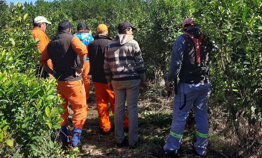 El RENATRE finalizó una jornada de dos capacitaciones para el sector yerbatero en Corrientes