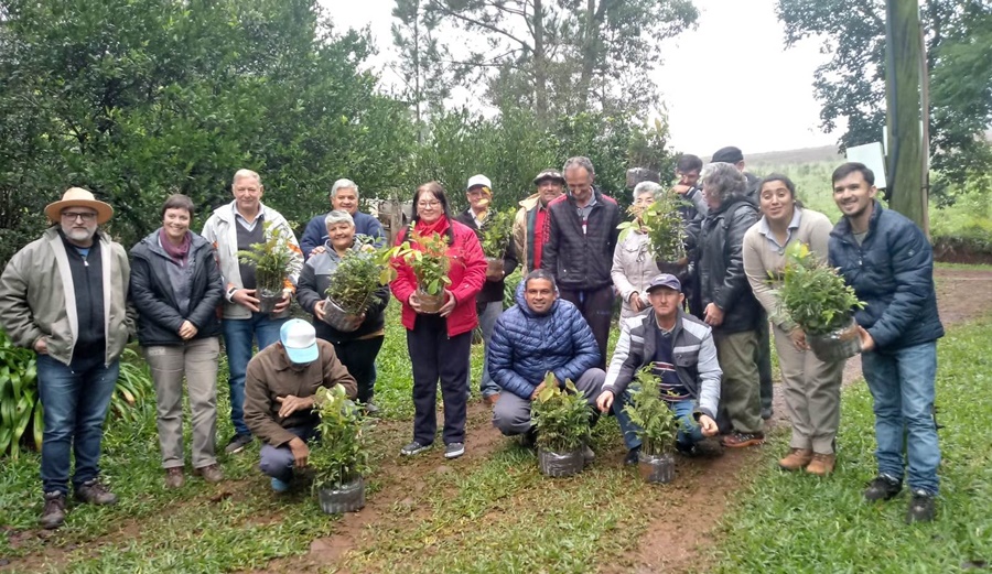 Capacitación sobre “Árboles en el yerbal”