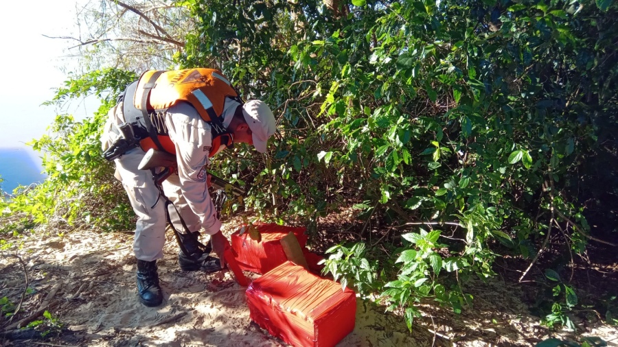 Corrientes: Prefectura Naval Argentina secuestró más de 41 kilos de marihuana