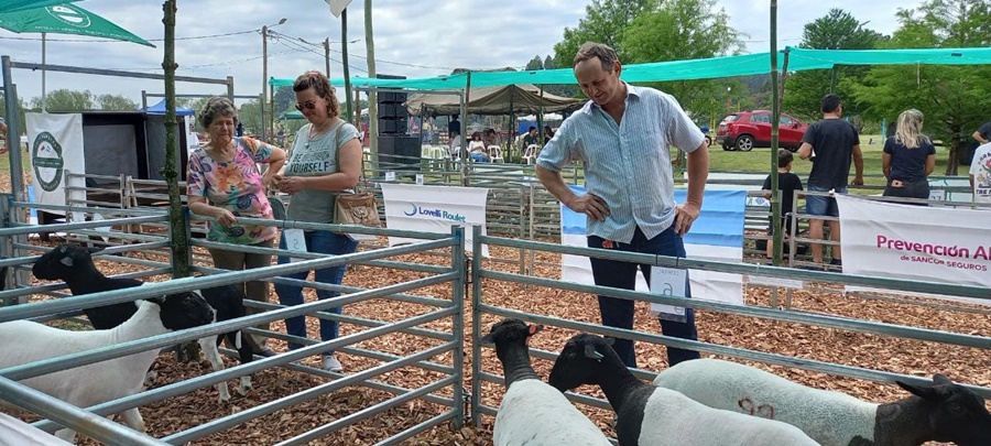 Tercer remate ovino caprino en Misiones: Promueven la adquisición de reproductores de alta genética a través de líneas de créditos
