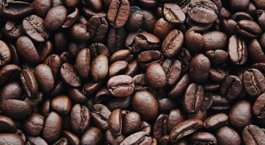 El cultivo de café emerge como una nueva economía regional en la provincia de Misiones