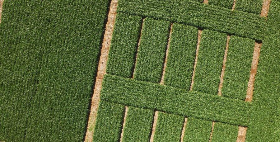 PT Farm debuta en Aapresid: El centro agro tecnológico de Carmen de Areco participará por primera vez en el Congreso con su propuesta de investigación, formación y vinculación estratégica