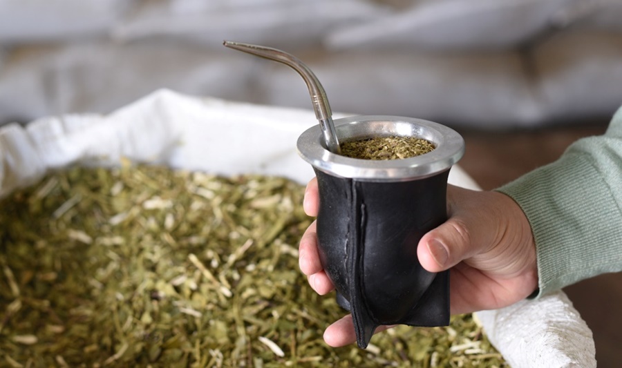 Yerba mate: El consumo interno más exportaciones superaron los 299 millones de kilos al cierre de Noviembre