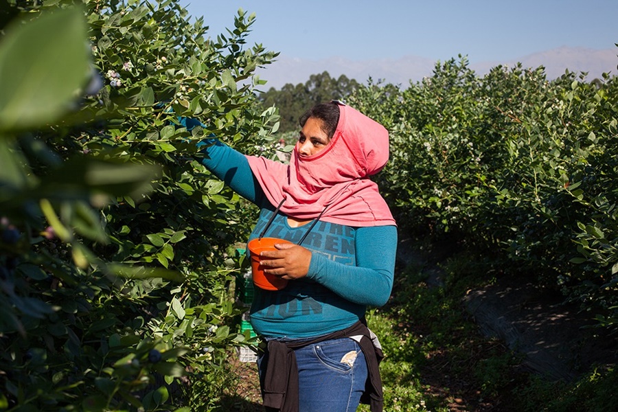 "El camino es generar igualdad de condiciones en el desarrollo del trabajo"