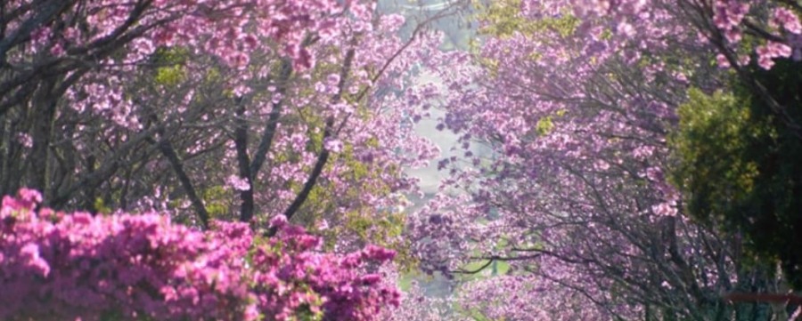 Celebran el Día Mundial del Turismo con “Rincones de Apóstoles”, buscan promocionar la ciudad mediante fotografías de sus lugares turísticos