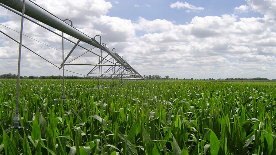 Con riego, logran mejoras de rendimiento entre 28 y 50 por ciento para soja y maíz