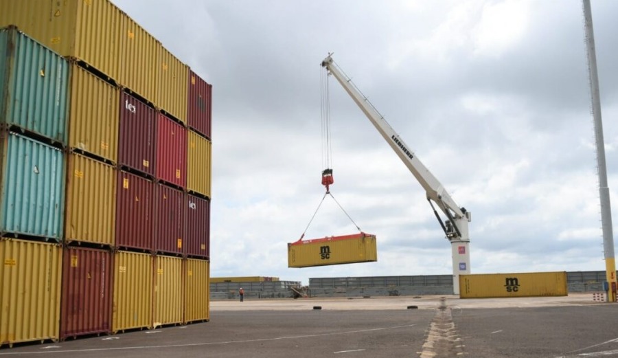 Misiones fue la mayor exportadora del NEA en 2024, se registró hasta el mes de Noviembre del 2024 exportaciones por 405 millones de dólares, y encabeza los índices en la región