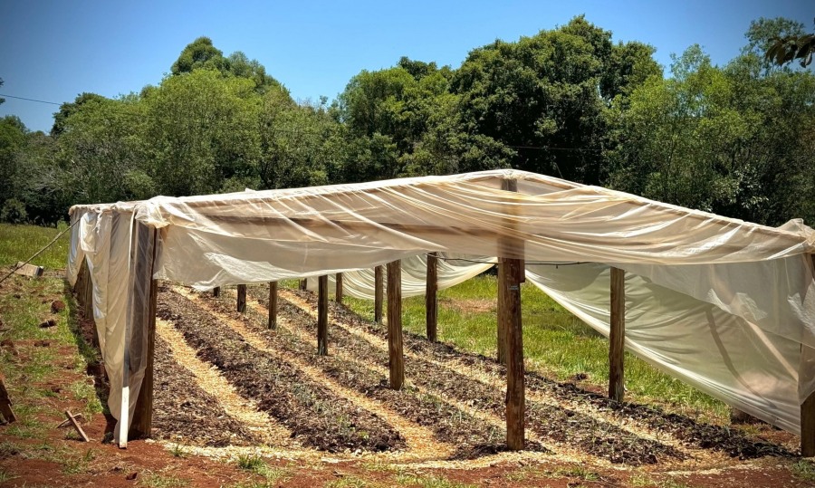 Misiones: Inauguraron en el Municipio de Alba Posse un invernadero con riego automatizado destinado a fortalecer la producción hortícola local