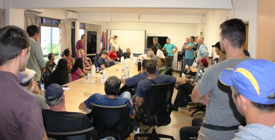 Se formalizaron pedidos sobre yerba mate a Nación, Gobierno de Misiones e INYM