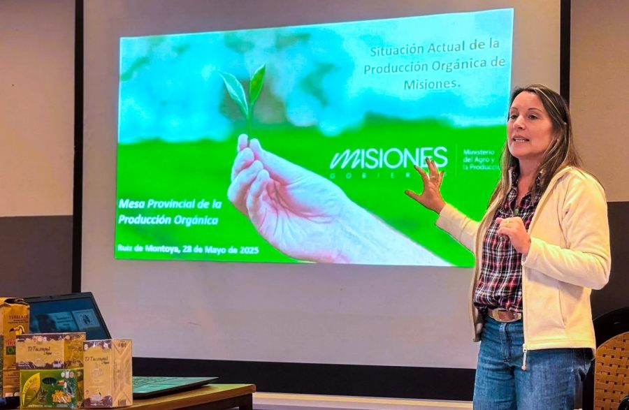 Con planificación estratégica y formación técnica en las chacras, la provincia de Misiones profundiza su modelo de producción orgánica