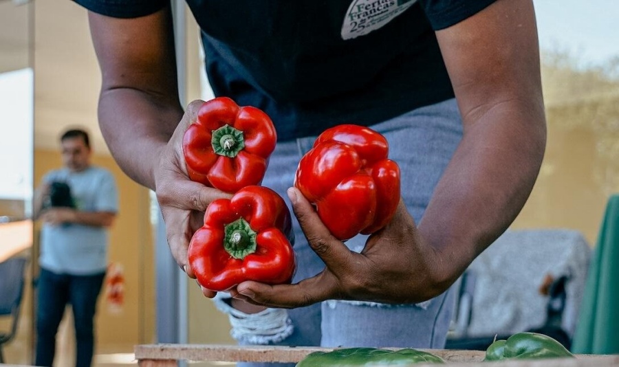 Posadas: El morrón en las Ferias Francas cuesta la mitad que en los supermercados, se comercializa a 4.000 pesos el kilo, aproximadamente