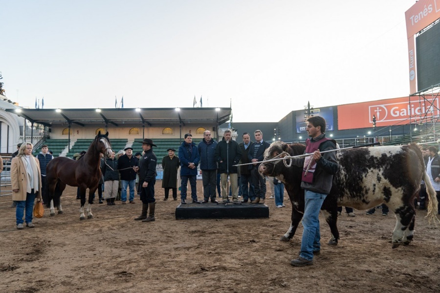 “Mercosur” y “Pericón”, los primeros animales que llegaron a La Rural 2023