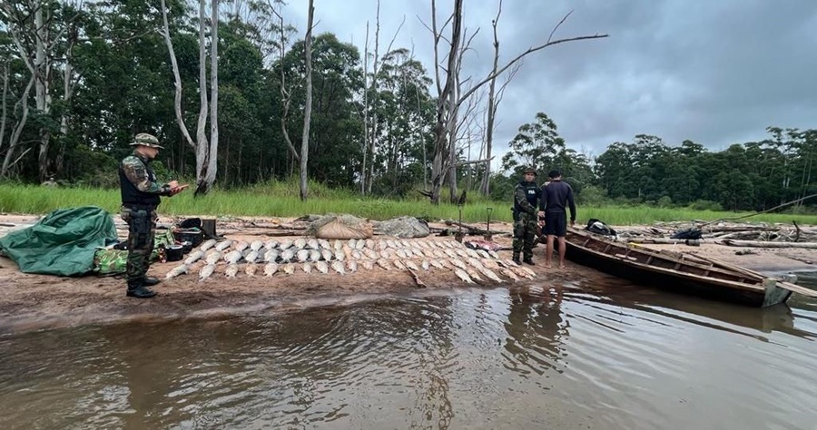 Operativo “Pasión de Sábalo”: Secuestran trescientos kilos de pescados en Corrientes