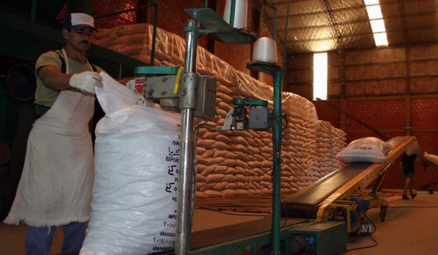 Según la Consultora Politikon Chaco: Misiones es la séptima provincia con más exportaciones de producción agropecuaria