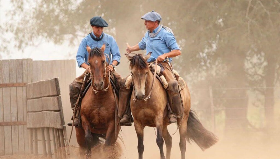 Guillermo Ortelli: El multicampeón del TC que ahora también gana criando caballos