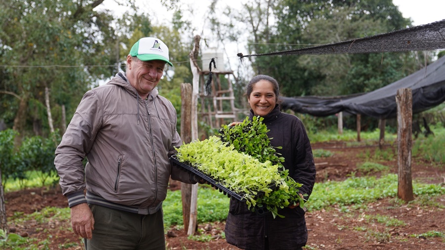 Apóstoles: Continúa la entrega de plantines a productores del Municipio, se trata de bandejas de hortalizas provenientes del Vivero Municipal
