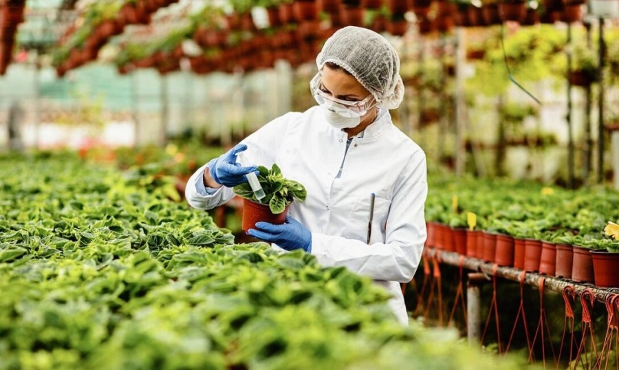 Oberá: Curso-taller busca consolidar la Cuenca Productiva de Especies Vegetales Medicinales en Misiones a través de capacitaciones teórico-prácticas y el acompañamiento a productores