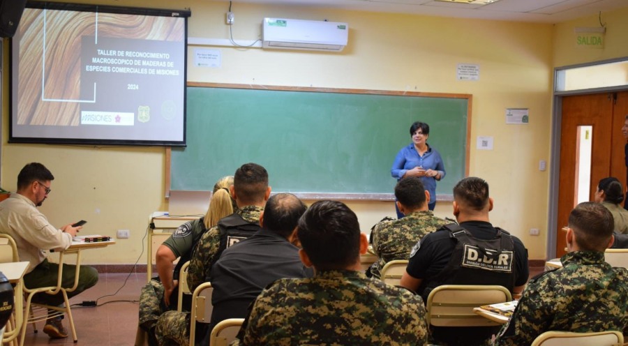 Misiones: Agentes de control en ruta completaron el tercer encuentro del curso de identificación de maderas nativas