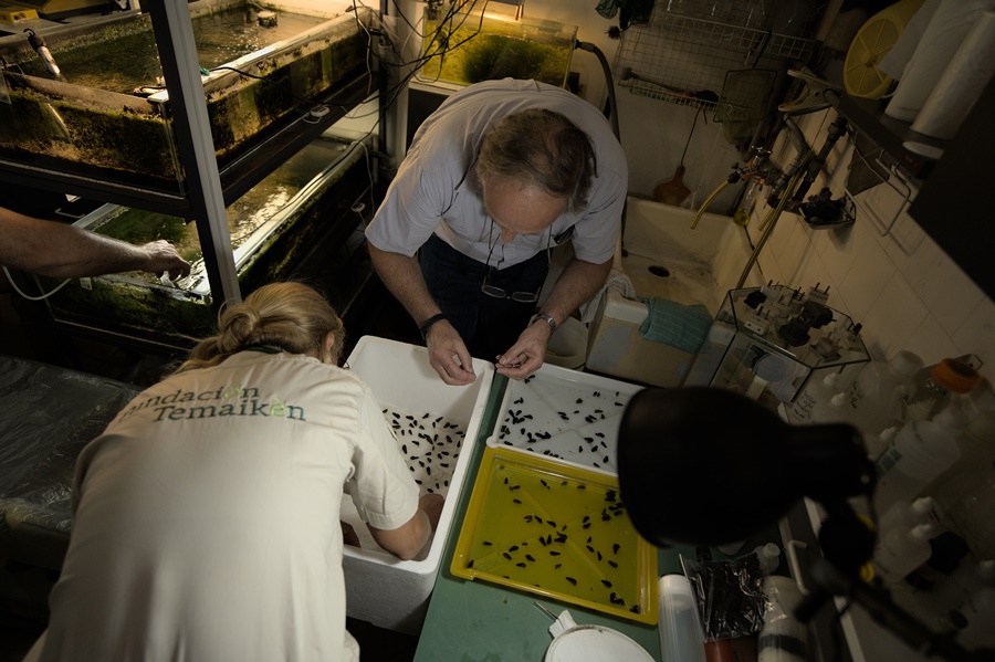 Día Mundial de la Vida Silvestre: El trabajo en red es fundamental para la conservación de las especies
