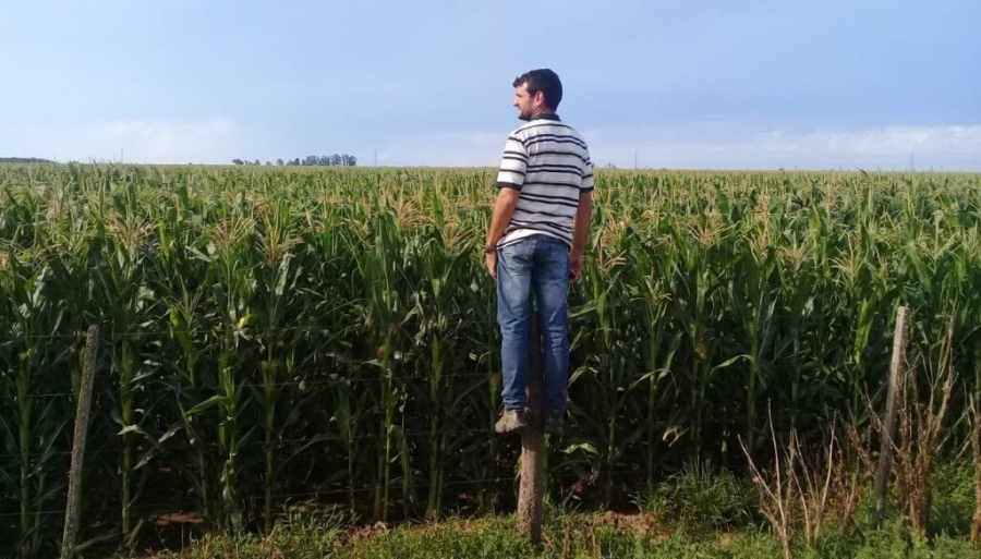 Optimismo agropecuario: El índice de confianza de los productores está 87% más alto que hace un año