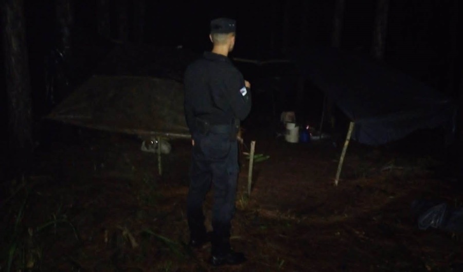 Un motosierrista falleció en un accidente laboral en la localidad misionera de Dos de Mayo