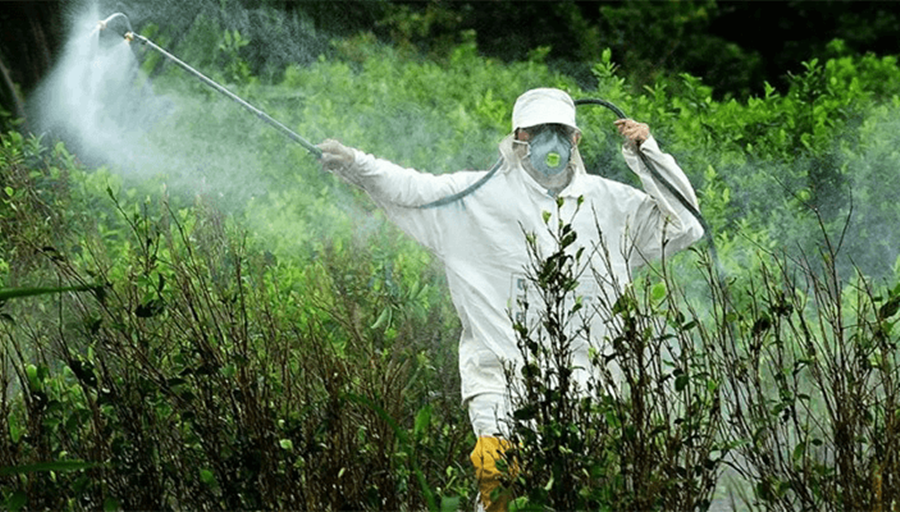La Sociedad Rural Argentina irá a la Justicia por la prohibición al Glifosato en Misiones