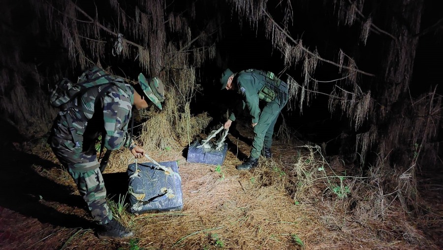 Gendarmería Nacional secuestró 150 kilos de marihuana en Misiones: Bultos de grandes dimensiones se encontraban ocultos en una zona montuosa