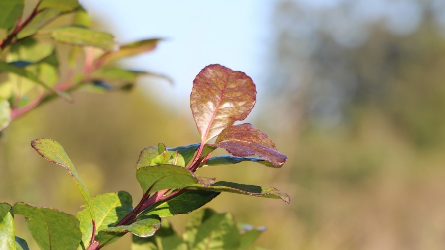 Son 111 los becados que participaron de la Jornada de Nutrición y Salud Ósea, la mayoría de la zona yerbatera