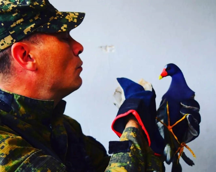 Posadas: Resguardaron un ave exótica en peligro de extinción, no podía volar porque tenía las alas lastimadas