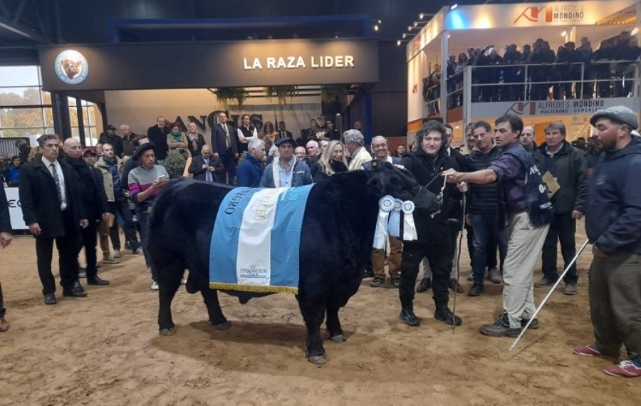 El Presidente Javier Milei pasó por la Expo Angus de Otoño y adelantó que después de eliminar el Impuesto PAIS, “le tocará a las retenciones”